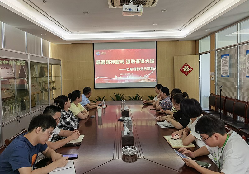 感悟精神密码，汲取奋进力量——海逸支部开展主题观影活动