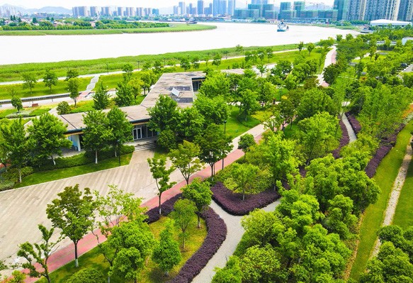 高新区滨江绿带六期（大东江－甬新河）
